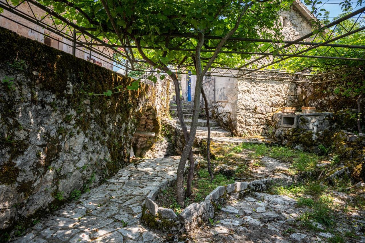 Guest House Gornji Ceklin Cetinje Exteriör bild