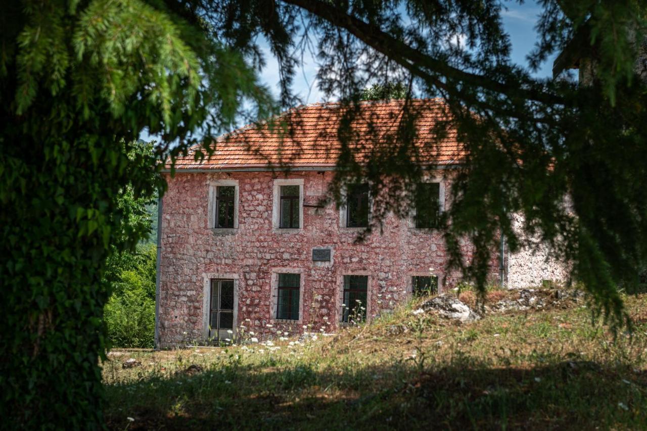 Guest House Gornji Ceklin Cetinje Exteriör bild